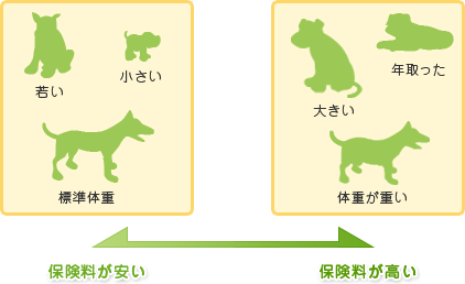 �ی���������[�E�W���̏d�E�������E�Ⴂ]�^�ی���������[�E�̏d���d���E�傫���E�N�����]